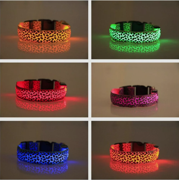 Collar Led Amarillo chita