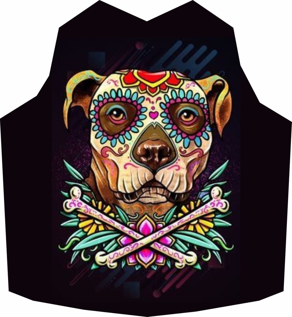 Playera Catrina L/5 (copia)