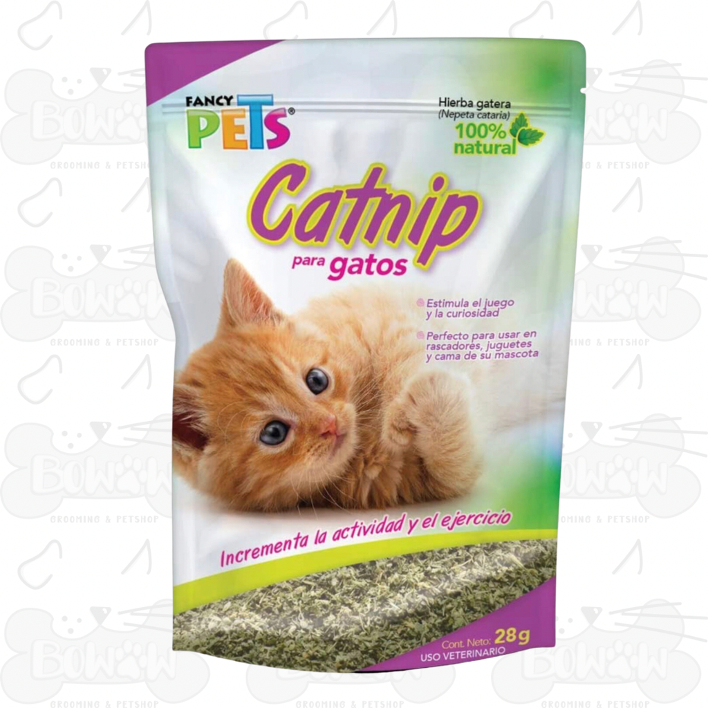 Catnip