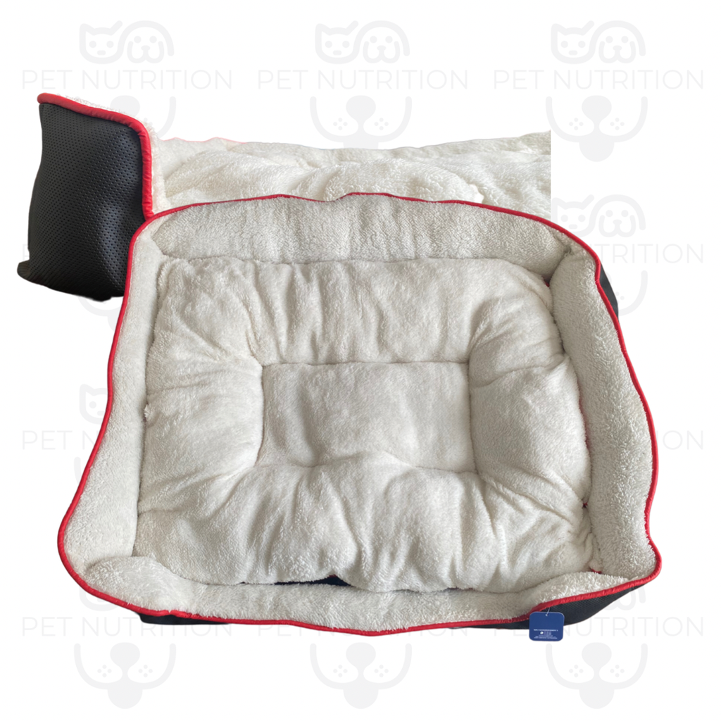 Cama explorer #4