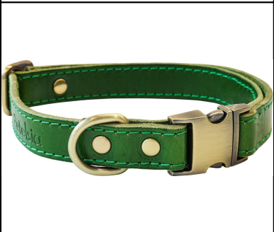 [BWT0020 M] Collar De Cuero Con Broche De Metal Mediano Verde