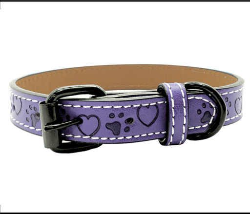 [PUN-7-1.5] Collar De Piel Para Mascotas Extra Chico Morado