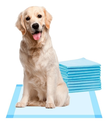 Pack de Pañales Training 4pzas