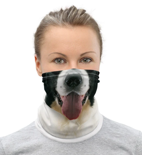 Bufanda para Humano Tipo Buff Cara Border Collie