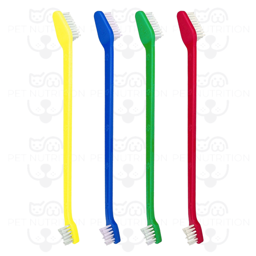 Cepillo dental colores